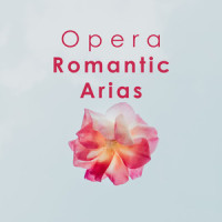 Tristan und Isolde / Act 2 - "O sink hernieder, Nacht der Liebe"_Deborah Voigt,Thomas Moser,Orchester der Wiener Staatsoper,Christian Thielemann