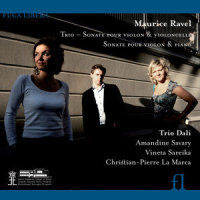 Trio pour piano, violon & violoncelle, M. 67: I. (Modéré)_Trio Dali,Maurice Ravel