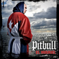 We Run This_Pitbull