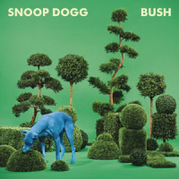 Awake_Snoop Dogg