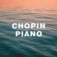 No.4 in E Minor_Claudio Arrau