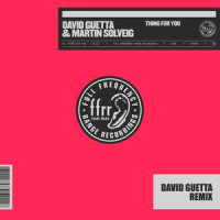 Thing For You_David Guetta,Martin Solveig