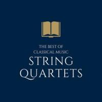 String Quartet No. 6 in F Minor, Op. 80, II: Allegro Assai_Classical Music Library