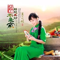 别处再好不是家_王二妮