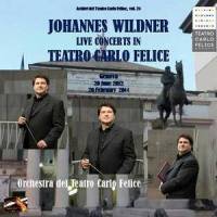 Symphony No. 1 in C minor, op. 68: Andante sostenuto_Johannes Wildner,Johannes Brahms,Orchestra del Teatro Carlo Felice