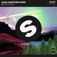 Big Jet Plane_Alok,Mathieu Koss