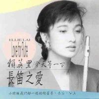 金瓶梅_赖英里