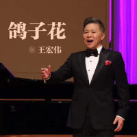 鸽子花_王宏伟