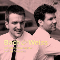 Suite in A Major for violin and obbligato lute, BWV 1025: V. Sarabande_Johannes Pramsohler,Jadran Duncumb