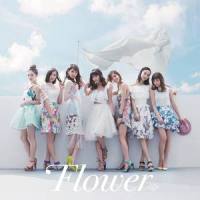 Clover_Flower