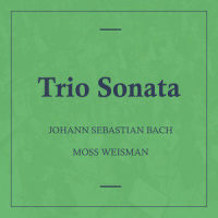 Trio Sonata in G Major, BWV. 1038: III. Adagio_l'Orchestra Filarmonica di Moss Weisman