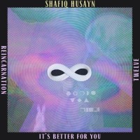 It's Better for You_Shafiq Husayn,Anderson .Paak