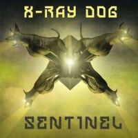 We'll Rise(Epic Version)_X-Ray Dog