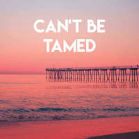 Can't Be Tamed_Sassydee