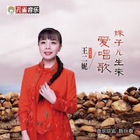 妹子儿生来爱唱歌_王二妮
