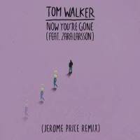 Now You're Gone_Tom Walker,Zara Larsson