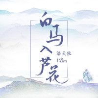 白马入芦花_洛天依
