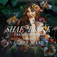 Transparency_Shae Brock,Gucci Mane
