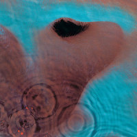 Seamus_Pink Floyd