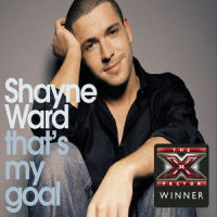 If You're Not the One_Shayne Ward