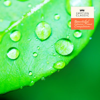 Coriolan Overture (Nature Ver.)_Ludwig van Beethoven