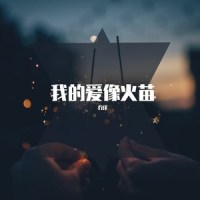 我的爱像火苗_乔洋