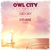 Fireflies (StéLouse Edit)_StéLouse,Owl City,Said The Sky