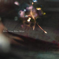 Who What Who What_凛冽时雨