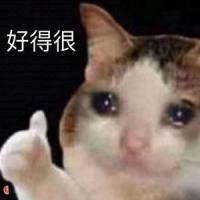 悬溺_封茗囧菌