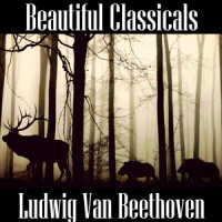 Symphony No- 1 in C Major, Op- 21 IV- Allegro molto e vivace_Ludwig van Beethoven