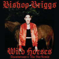 Wild Horses_Bishop Briggs