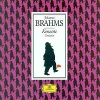 Allegro energico_Classical Artists,Johannes Brahms