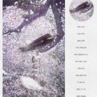 春风如今_CRITTY