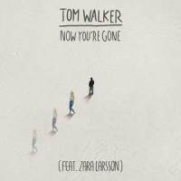 Now You're Gone_Tom Walker,Zara Larsson