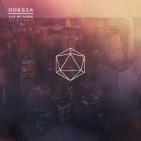 Say My Name_Odesza,Zyra