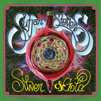 Ave Maria_Sufjan Stevens,cat martino