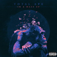 5AM_Total Ape,Nico & Vinz