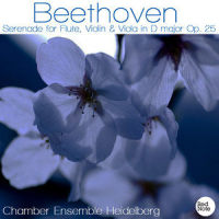 Serenade for Flute, Violin & Viola in D Major, Op. 25: I. Allegro_Chamber Ensemble Heidelberg