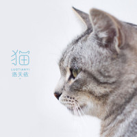 猫_洛天依