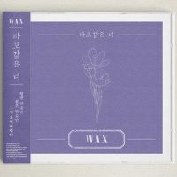 바보같은 너_WAX