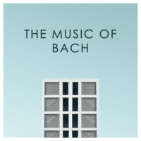 J.S. Bach: Wenn wir in höchsten Nöten sein, BWV 432_Ophira Zakai,Vocalconsort Berlin,Daniel Reuss,Elina Albach