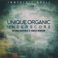 Stuck In a Loop_Immediate Music