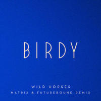 Wild Horses_Birdy