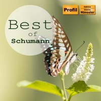 II. Romanze: Ziemlich langsam_Deutsches Symphonie-Orchester Berlin