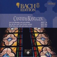 Johann Sebastian Bach: Ach wie flüchtig, ach wie nichtig, BWV 26, for the 24th Sunday after Trinity_Johann Sebastian Bach