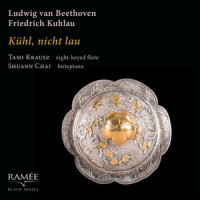 Serenade in D Major for Piano and Flute, Op. 41: V. Allegro scherzando e vivace_Tami Krausz,Shuann Chai,Ludwig van Beethoven