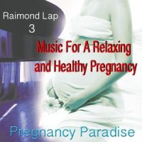 Delicious Feeling_Raimond Lap
