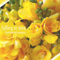 Falling In Love_Sentimental Scenery