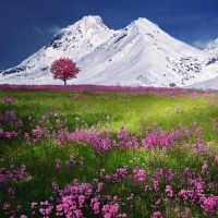 Essential Mindfulness_Sounds of Nature Relaxation,Spa,Meditation Rain Sounds