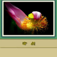 梦醒时分_陈淑桦